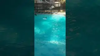 learning technique while doing front crawl, Pulls and kicks doing length 3yrs and 4years.