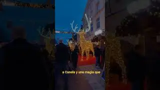 Mercado de navidad en Alemania