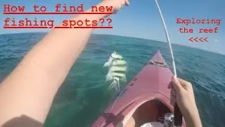 (How To) Finding New Fishing Spots | Exploring the Reef