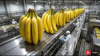 How It's Made: Banana Chips Factory Process (Satisfying ASMR)