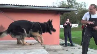 Trainingswoche mit Vit Glisnik