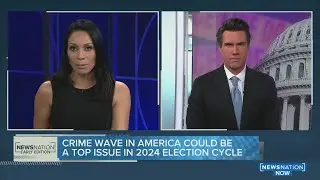 US crime wave could be a top issue in 2024 election cycle