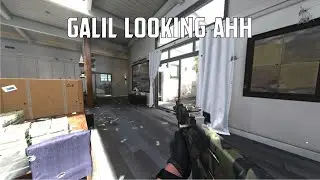The Galil-looking ahh STG-44 in Modern Warfare 3