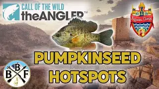 Hotspot Guide: Pumpkinseed - Plus Hook Size, Bait and Lure!! | Call of the Wild: theAngler