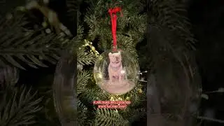 Gift For Dog Lovers Dog Mom Dog Dad | Personalized Christmas Ball Photo Ornament