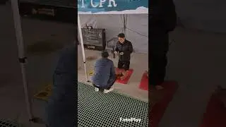 반려동물 심폐소생술 PET CPR