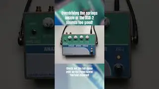 Pure bliss. 🌀 #guitar  #guitarpedals #reverbpedal #springreverb