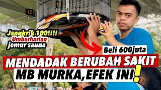 MASIH AMPUH‼️MB MURKA KONSLET GAYA KACER RUBAH RAWATAN||TAMPIL DIANNIVERSARY SMM KE-5