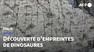Un ensemble d'empreintes de dinosaures découvert en Italie | AFP