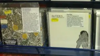 Victim of politeness - theTIDES #reels #music #indie #alternative #songoftheday #powerfulmusic #love