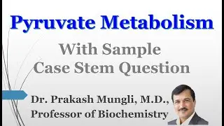 LACTURE II Pyruvate Metabolism II Pyruvate Oxidation II Lactic Acidosis ii Dr Prakash Mungli