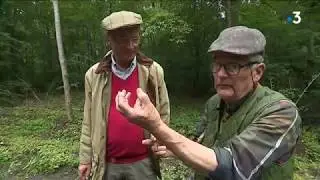 L'association de sauvegarde du patrimoine des forêts du Compiégnois 4/4