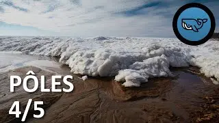 S02E103 : P&ocirc;les 4/5 : Glaces, oc&eacute;ans et climat, Lydie Lescarmontier (glaciologue) BSG