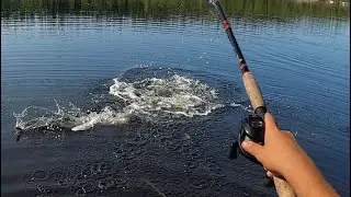 Topwater Pike Fishing Northern Quebec Adventure - INSANE Blow Ups : Lake Manicoigan