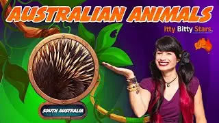 Week 1 &ndash; Australia Theme: Creative Exploration for Early Learners | Online Learning Portal