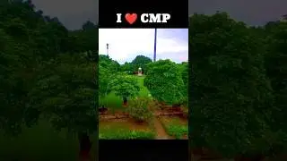 Cmp Degree College ❤️ | Allahabad University #cmp #au #beauty #cmp_degree_college