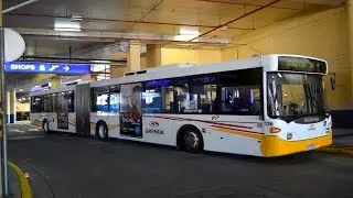Buses at Southland - Melbourne Transport