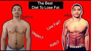 What Is The Best Diet To Lose Fat In 2020?
