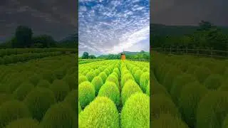 Nature's beauty is a gentle reminder of our own beauty and the power that lies within us.