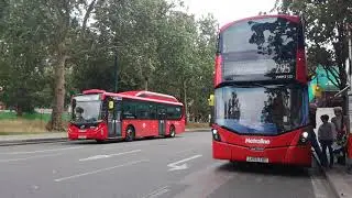 Buses in Shepherds Bush