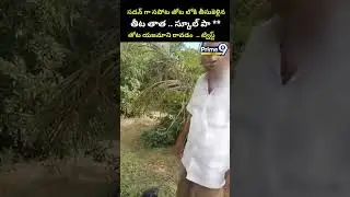సడన్ గా తోటలోకి తీసుకెళ్లిన తీట తాత..స్కూల్ పా *! యజమాని..ట్విస్ట్ Tuni Oldman Viral | Prime9 News
