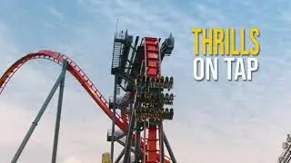 2021 Bier Fest | Busch Gardens Tampa Bay