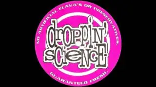 Danny Breaks - Droppin Science Volume 01 (a) (1993)