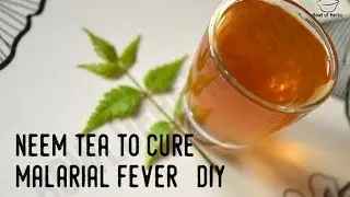 How To Make Neem Tea To Cure Malaria - Remedy | Bowl Of Herbs