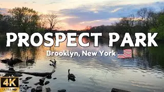[4K] Brooklyn's Prospect Park in 2025 | Serene NYC Nature Walk
