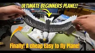 This $10 RC Eagle Plane is Actually INSANE
