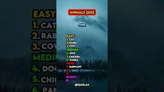 Насколько вы умны?
