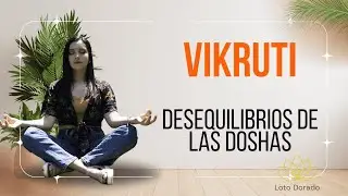 C&oacute;mo se ve un desequilibrio en cada dosha | Entend&eacute; tu Vikruti seg&uacute;n el Ayurveda 🌿