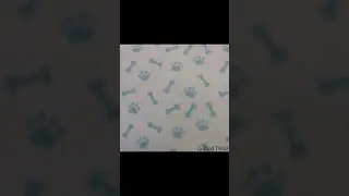 Ken shows off blue dog paws and bones fabric