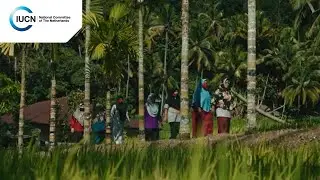 Local ownership and governance of nature | Social forestry in Indonesia