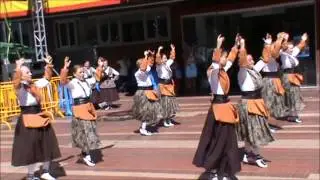 BAILES Y C T  ALCORCÓN, Jota del aire de Yuncler