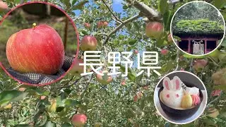 長野の魅力満載！シャトレーゼホテル、戸隠神社、りんご狩り＆味噌