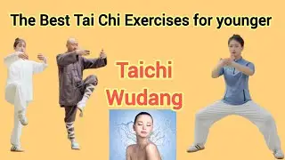 Best Tai Chi for Seniors || Joint-Friendly & Easy to Follow