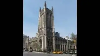 44 UNIVERSITY