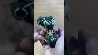 Escaping the Toy Rat Race: Transformers Animated Oil Slick