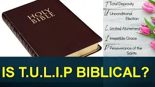 Is T.U.L.I.P Biblical? | Brother Garfield Robinson | November 16, 2025 | Live Stream