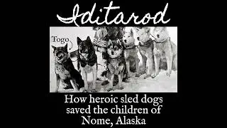 History Fix Episode 40: Iditarod