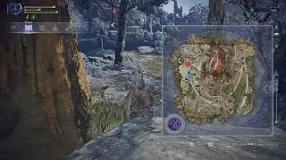ELDENRINGNIGHTREIGNFrozenkillbosNajRandom