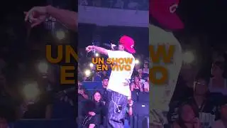 Asi armo mi show en vivo🔥 #tutorial #sxnthi #ableton #showenvivo #musica #producer