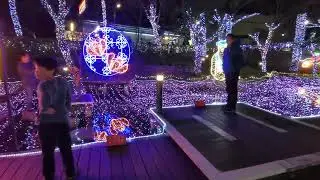 2026年1月31日