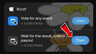 Vote for any event Paws Mystery Quest | Wait for the result, collect payout Paws New Mystery Task