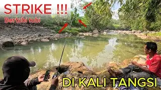 AIR TENANG !!! TAPI Sarang Predator #MTEH #strike #mancing #kali #tangsi #hampala  #lele