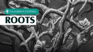 Foundations Summer Exhibition: &ldquo;Roots&rdquo; LIVE