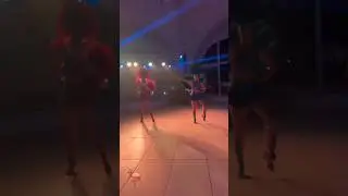 Dansatori la nunti si cumatrii in Moldova. Show de lumini, fum greu #flamingo #dansatori 060034049