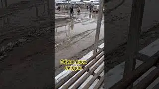 Respect Passengers &mdash; Drive Carefully at Bus Stops ⚠️ #automobile #reallife #snow