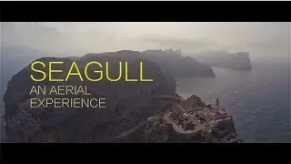 SEAGULL | Aerial Shots Of Mallorca (HD)